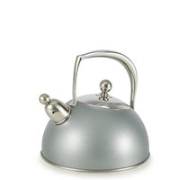 Habonne fluitketel Metallica rvs/ zilver coated